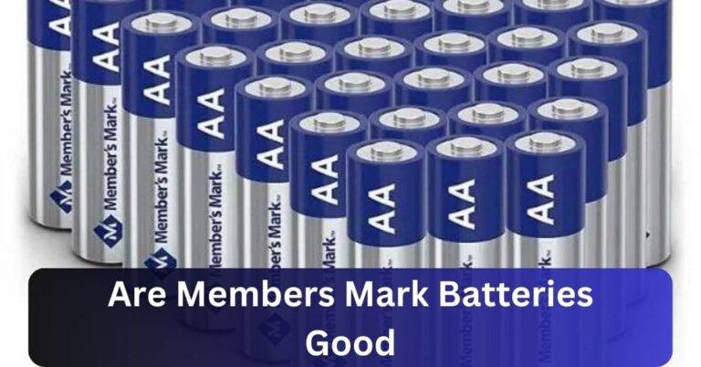 Are Members Mark Batteries Good